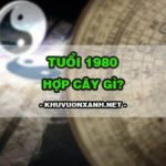 1980 hợp cây gì? Cây hợp mệnh mộc 1980